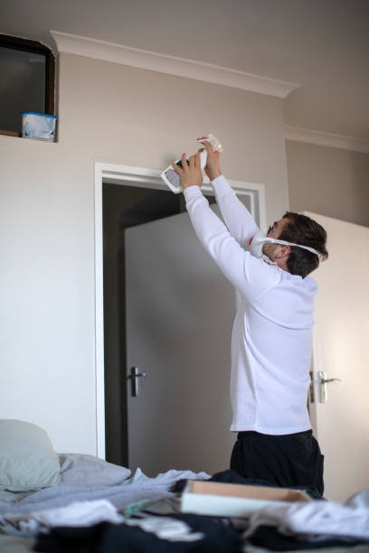 Mold Documentation for Insurance Claims in Apache Junction, AZ