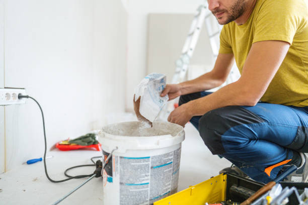 Best Basement Mold Removal  in Apache Junction, AZ