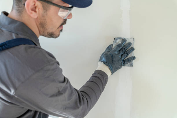 Best Residential Mold Inspection & Testing  in Apache Junction, AZ
