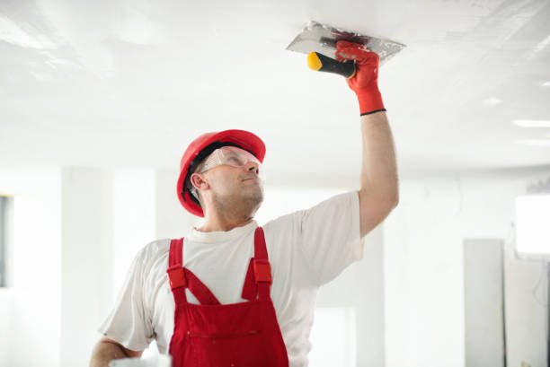 Best Crawl Space Mold Remediation  in Apache Junction, AZ