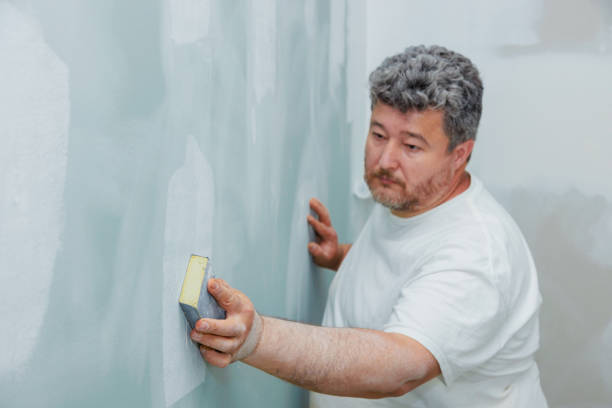 Professional Mold Removal in Apache Junction, AZ