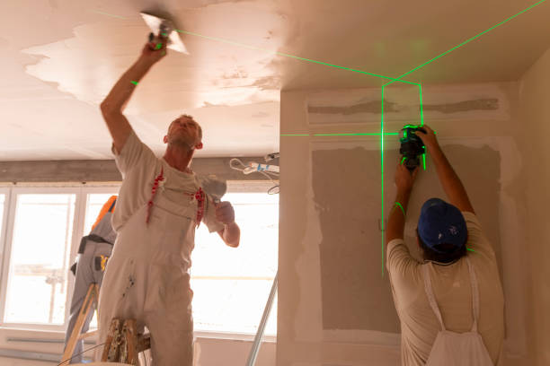 Best Mold Documentation for Insurance Claims  in Apache Junction, AZ