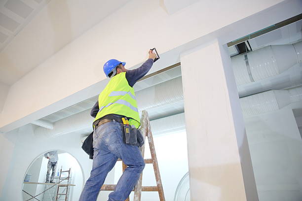 Best Industrial Mold Remediation  in Apache Junction, AZ