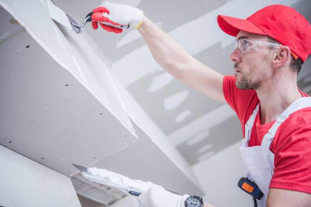 Mold Remediation for Vacation Homes in Apache Junction, AZ